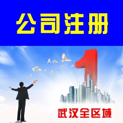 武汉工商注册快速办理公司注册,专业工商及税务代理