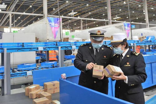 武汉海关持续加强进口商品风险监测切实维护消费者权益