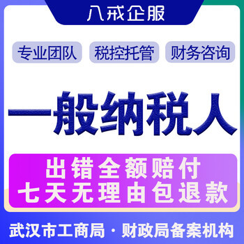 武汉公司注册,代理记账,税务咨询