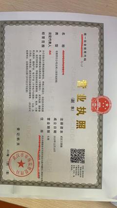 武汉可靠税务代办服务周到