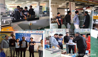 海外客商青睐武汉三新电力，高端产品斩获国际订单