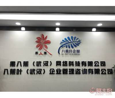 八蕉叶 武汉税务代理的专业伙伴，助力企业稳健成长